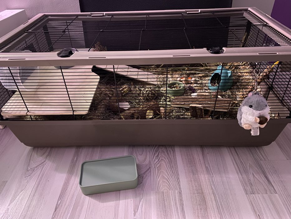 Cușcă hamsteri 100x54x39 si accesorii, hrana, nisip, labirint, roata