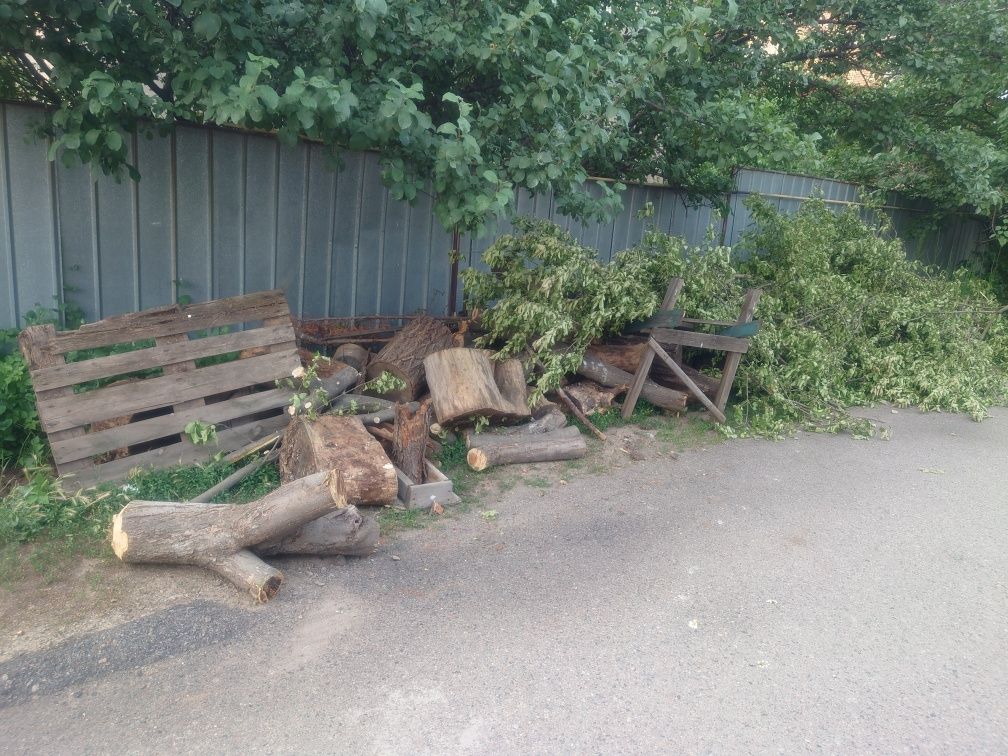Дрова бесплатно из фруктового дерева