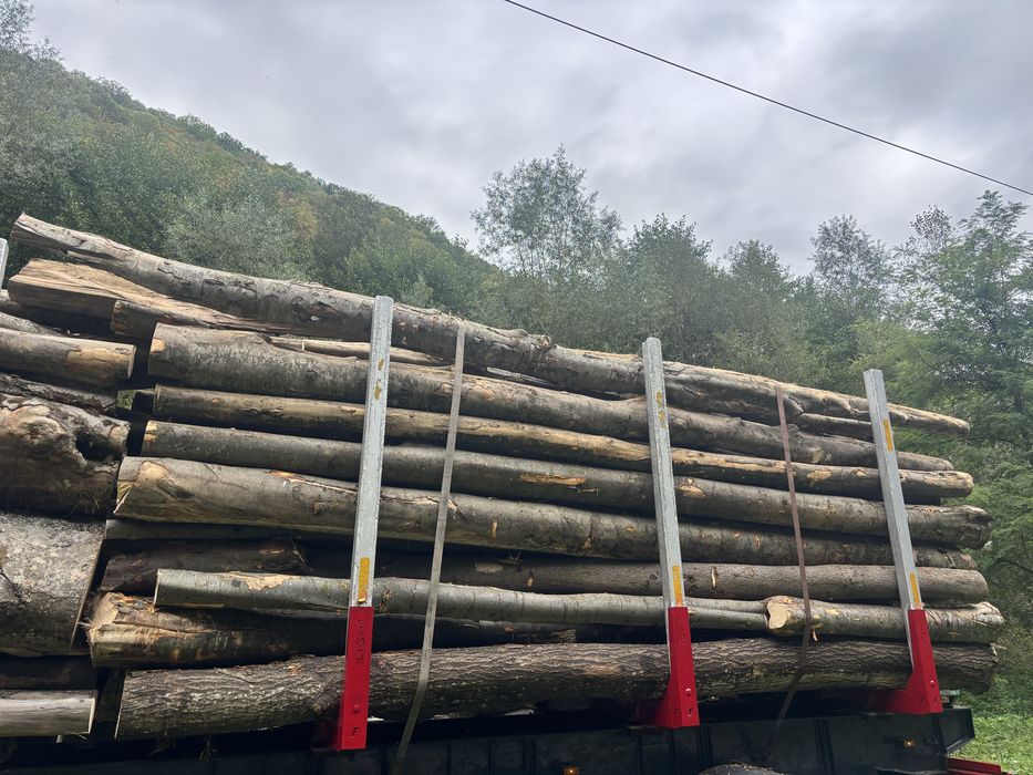 Lemn de foc bustean sau spart