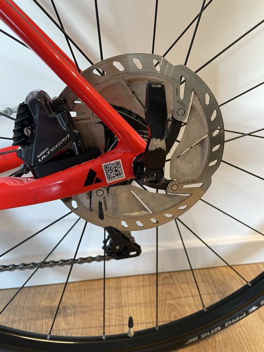 Cursiera Desert Falcon 2 Disc