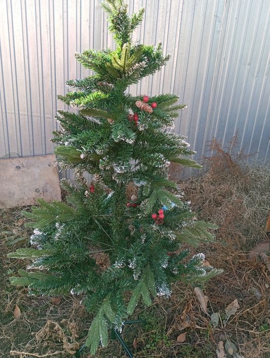 Продается елка, Состояния хорошее