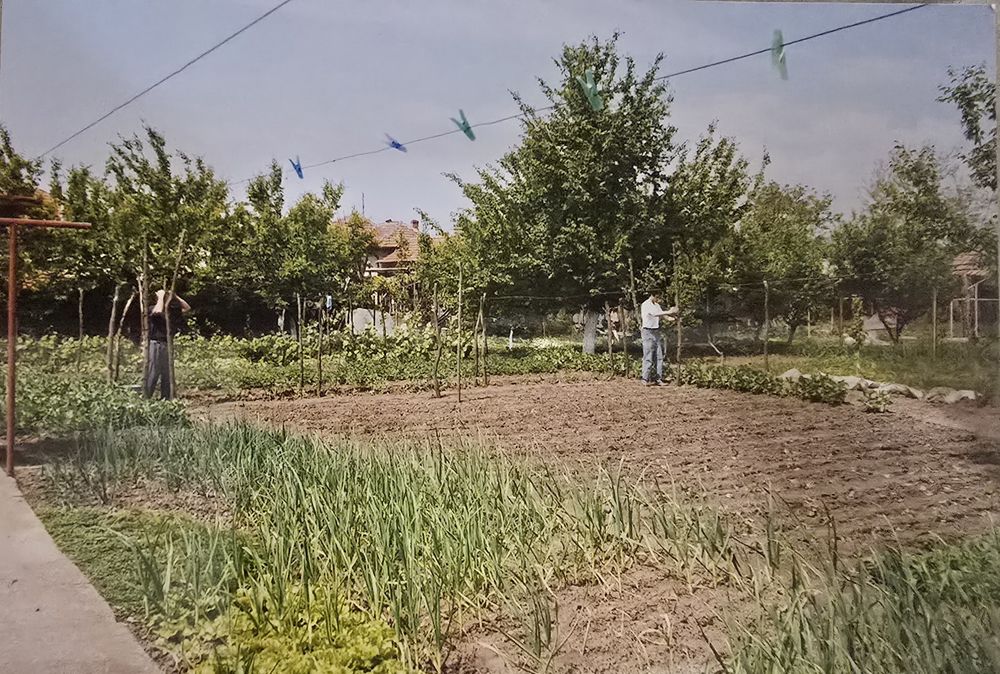 Къща с. Цар Самуил