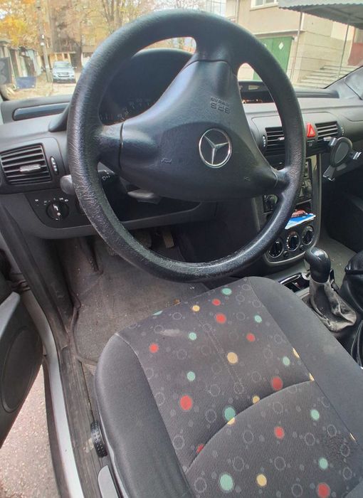 Мерцедес Ванео ван