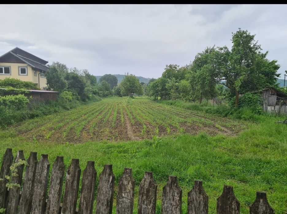 Teren de vanzare intravilan