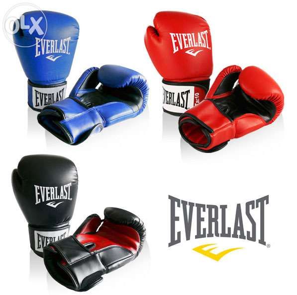 Manusi antrenament box 16 oz Rodney Everlast