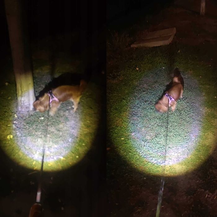 Автоматичен Повод за Кучета Вграден LED Фенер, Дължина 5м до 30кг Куче