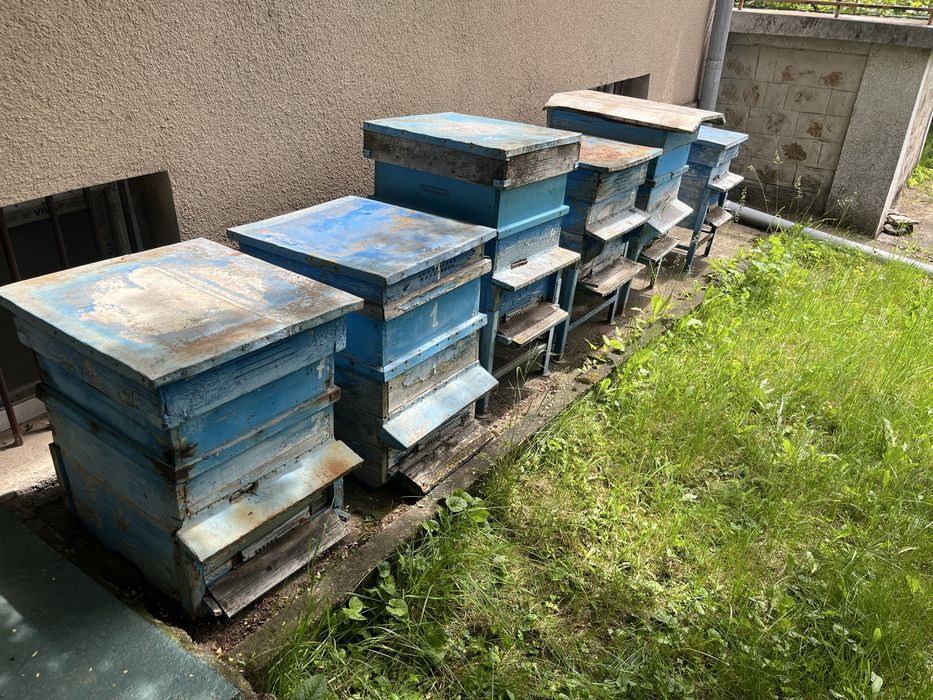 Кошери 10рамкови-дадан блат