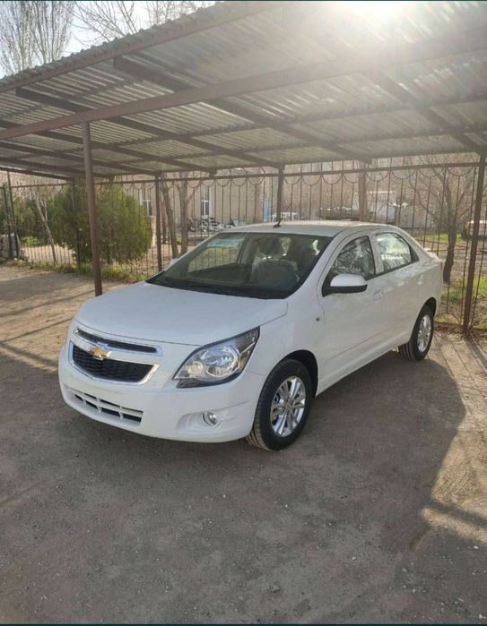 KOBALT STYLE MCM, Paket, salonda