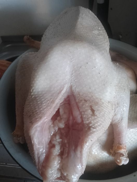 Каз сатылады семиз