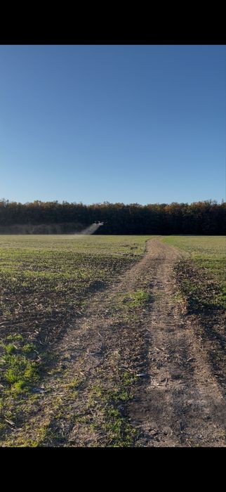 Servicii profesionale cu dronă agricola