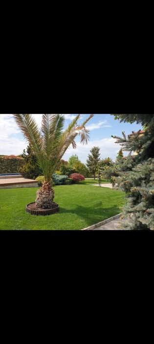 Градинар Косене аериране на тревни площи поливни системи