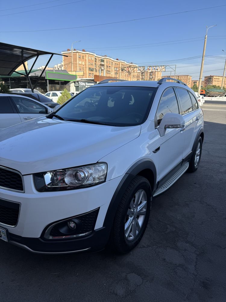 Captiva 2014/15 Toza 100%