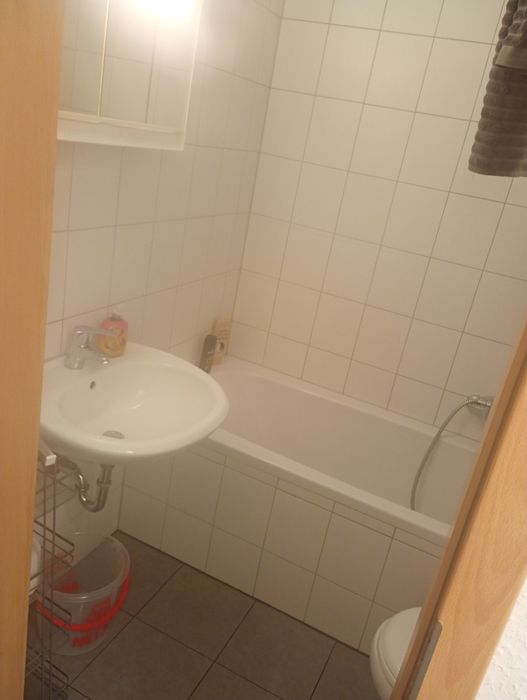 Curățenie generală în apartamente sau gasa șters praful tot