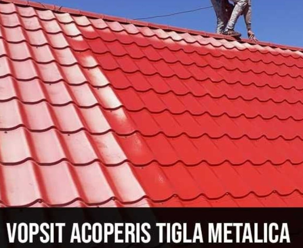 Vopsim orice model de tablă pe acoperiş