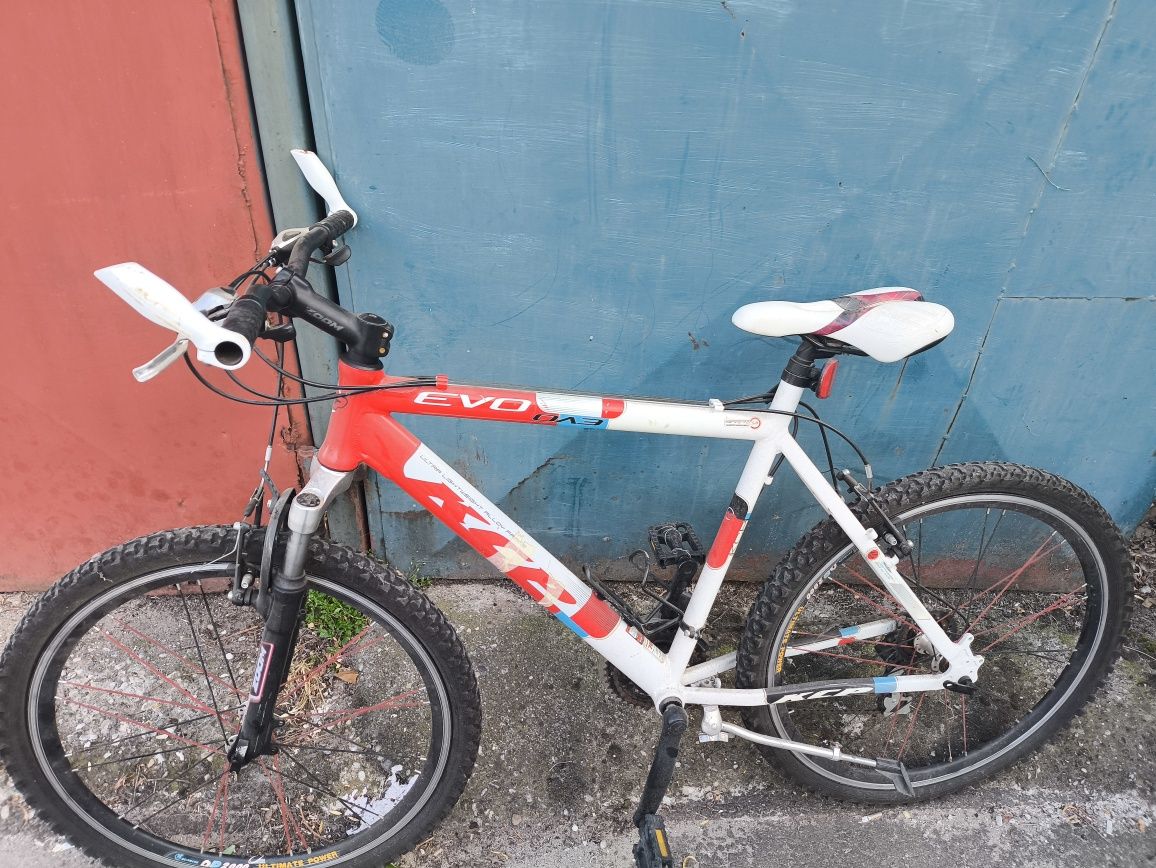 Biciclete copii și adulți
