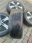 Genti aliaj pe 16