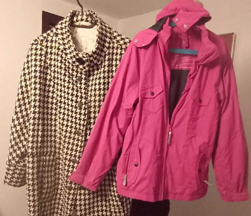 Geanta câini, încălțăminte, haine