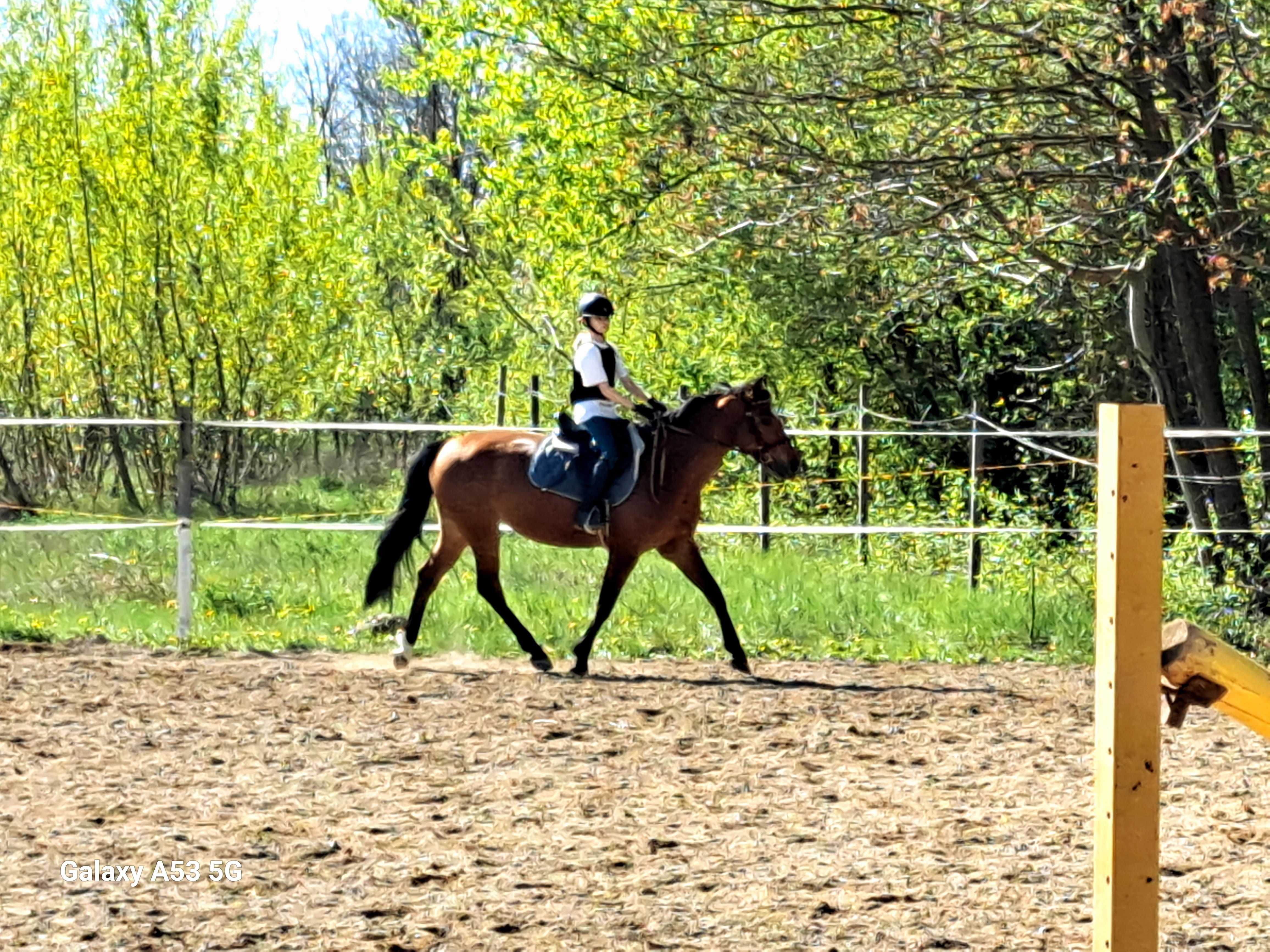 Cursuri de echitatie,plimbari,închidere spatiu de petreceti private.