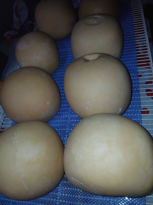 De vanzare produse lactate din lapte de VACA