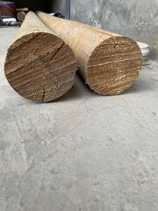 Сасна дарахтидан тайёрланган махсулотлар