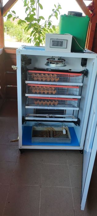 Incubator de 240 de ouă
