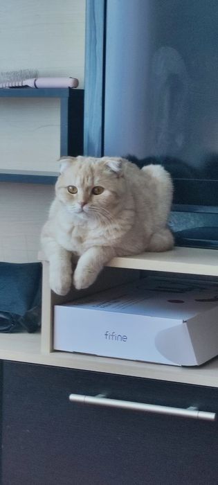 Отдам в хорошие руки