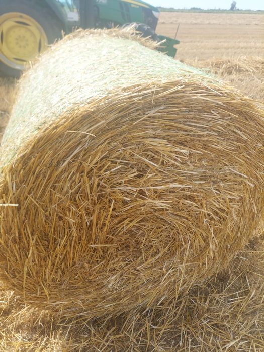 Baloți Paie Grâu