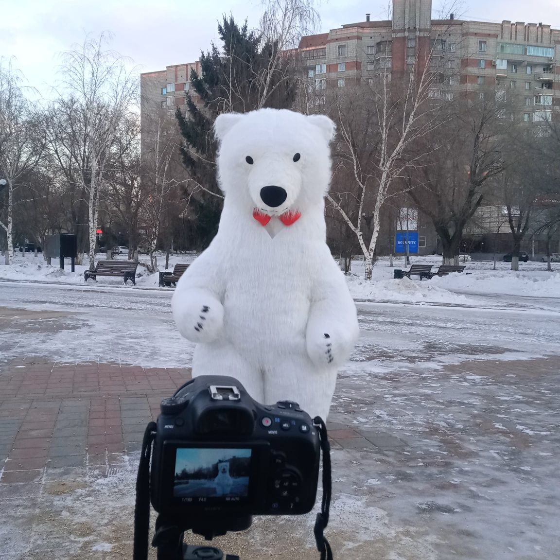 Белый большой Мишка