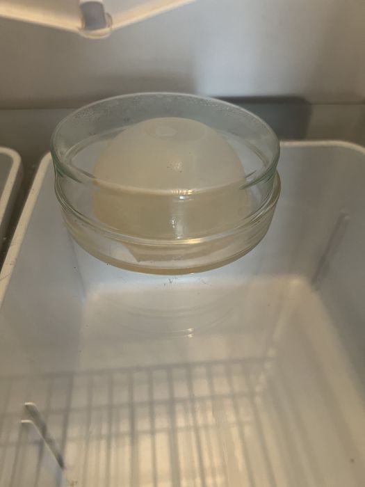 Эко капсулы для напитков