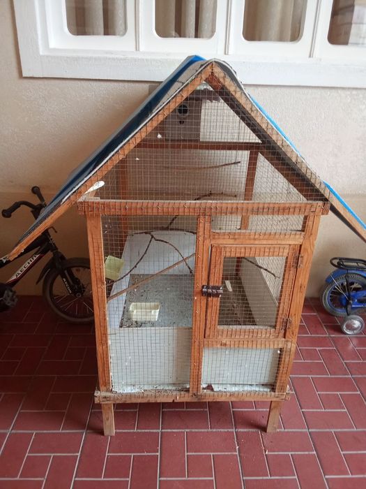 Катак сотилади янги