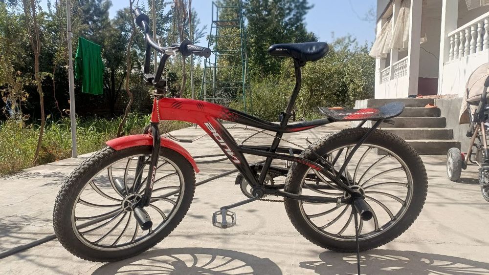 Velosiped kattalar va yoshlar uchun