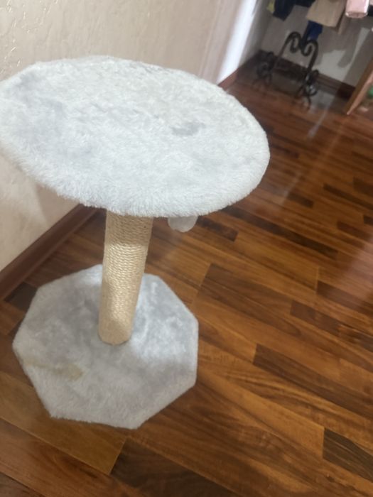 Продам для кошек ногтеточка и переноску новые покупала общий за 32.000