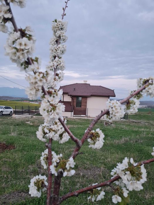 Парцел- УПИ с виза за проектиране  в село Логодаж община Благоевград