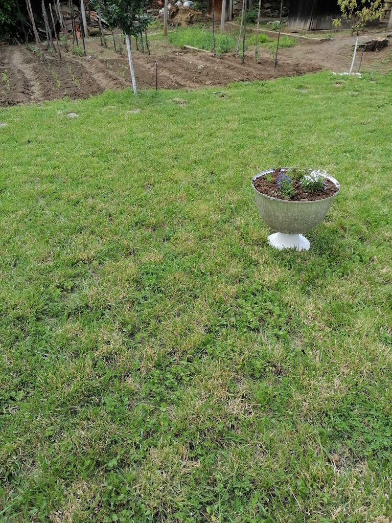 Продава се Къща в Ловеч, Гозница - 100 кв.м за 332 €/кв.м - Снимка #11