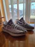 Adidas Yeezy 350