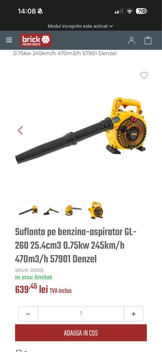 Suflanta frunze denzel benzina