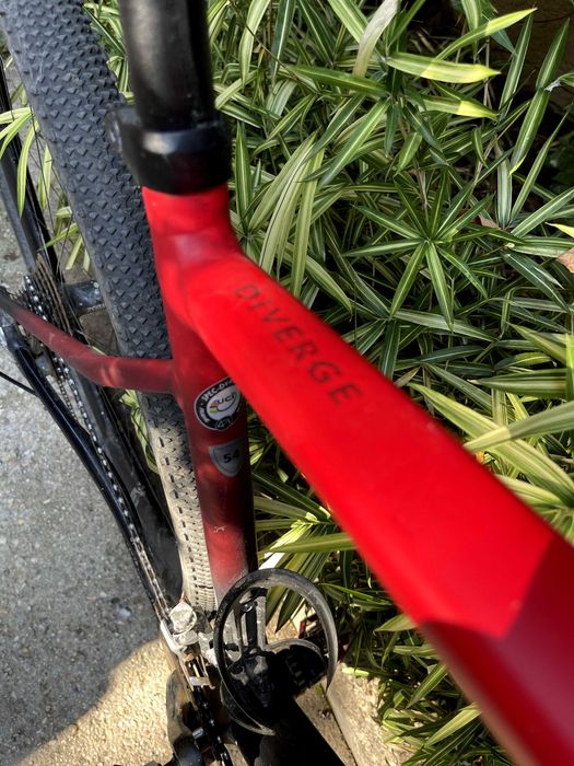 Specialized Diverge custom