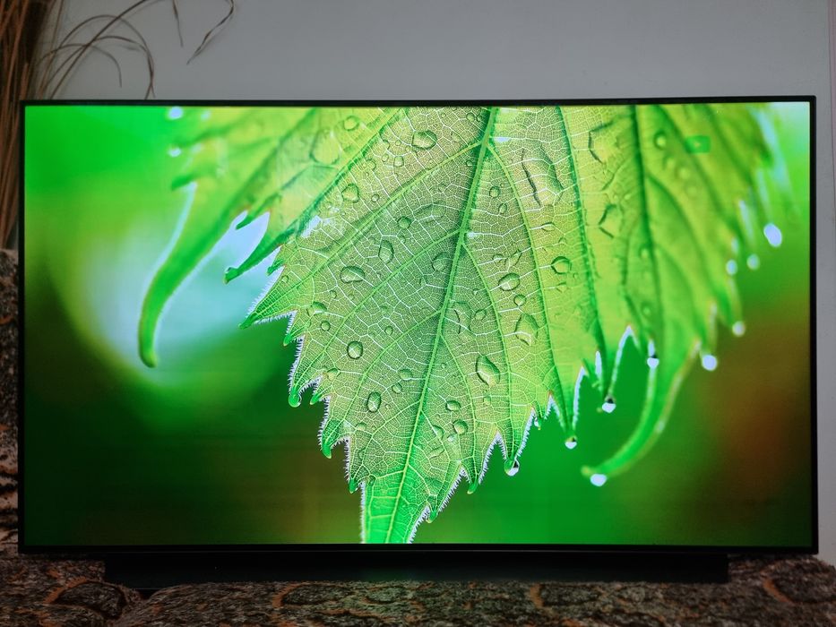 LG OLED Smart TV / 55" - 4K , HDR10+ , WebOS , Dolby Atmos