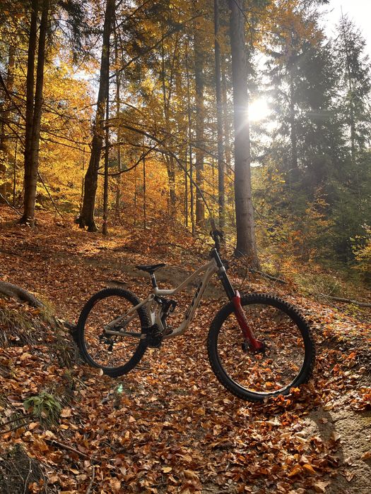 Ctm mons race downhill