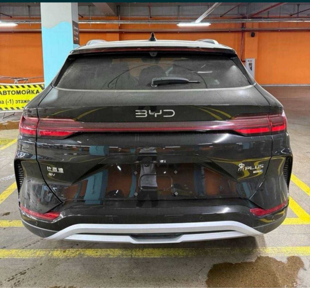 Byd chempion yillik 10%