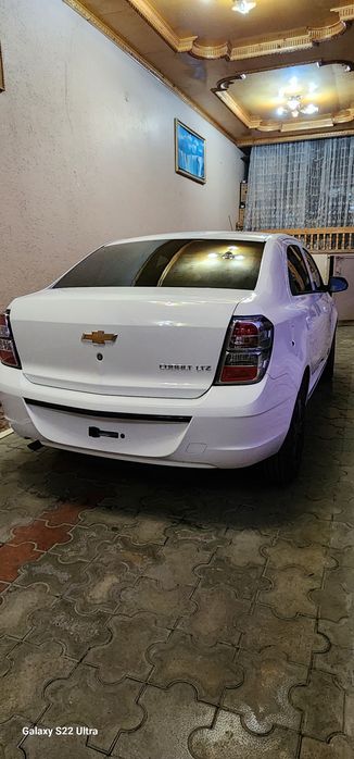 Cobalt Midnight (MCM) 2026