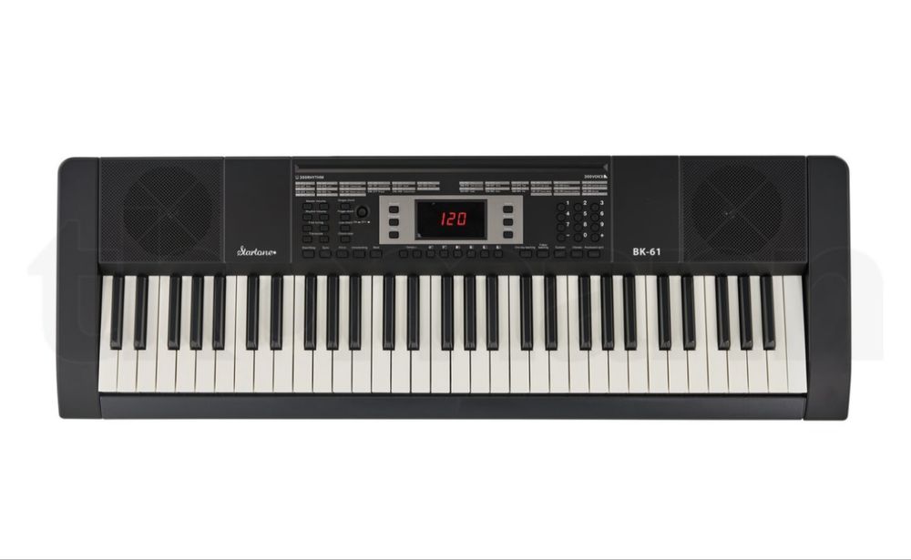 Orga/ pian ideala pentru incepatori