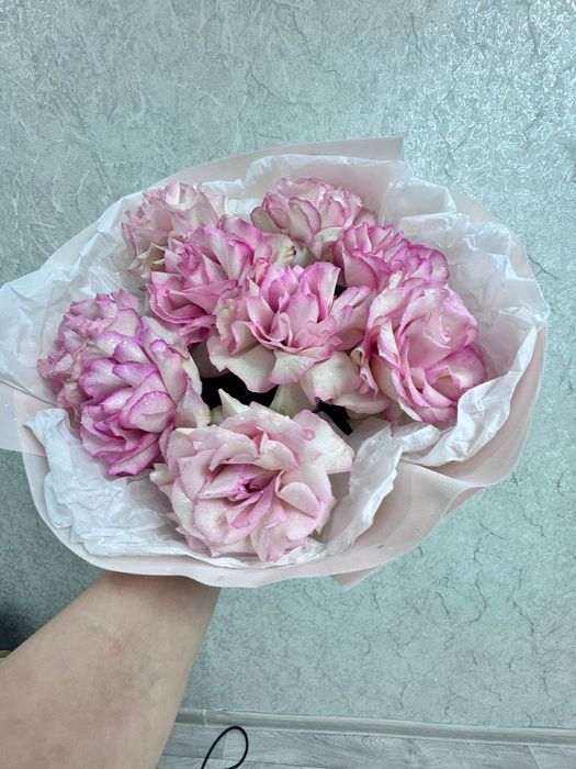 Продам французные розы
Цена:7000