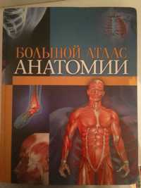 Продаю книгу Большой атлас анатомии