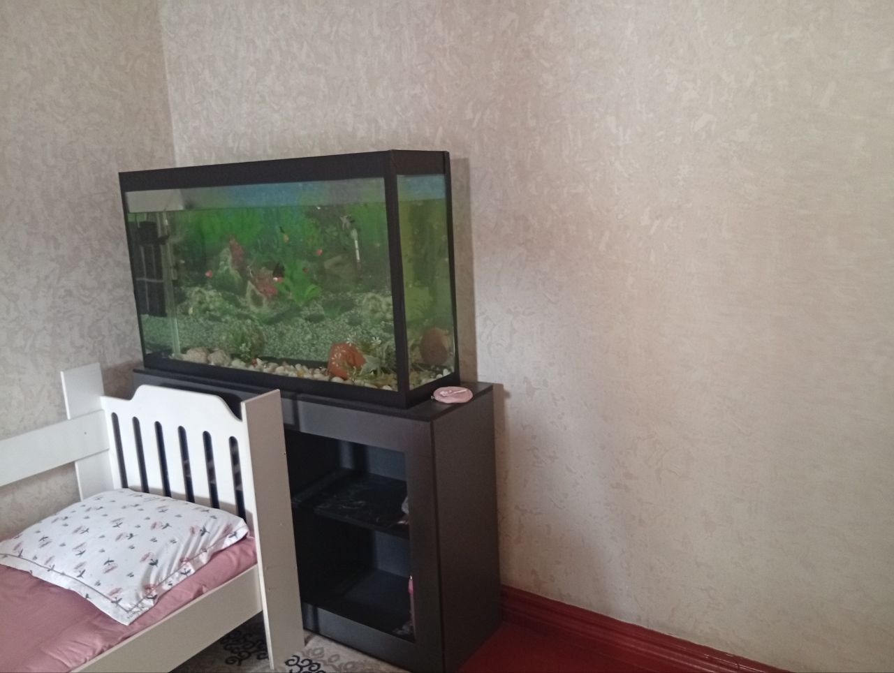Akvarium аквариум