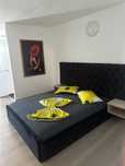 Zona centrala , garsoniera lux, regim hotelier