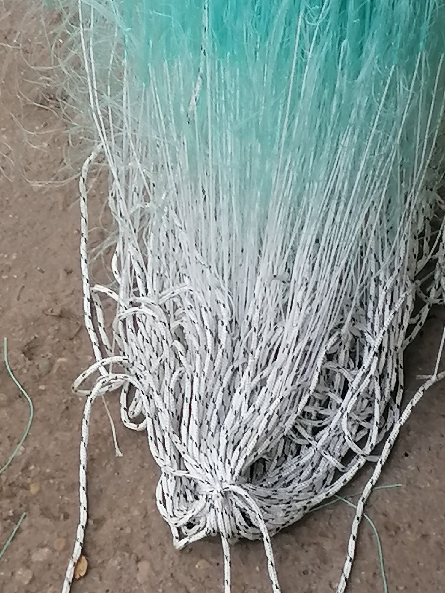 Plase pescuit ață guta mulți filament