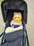 Carucior Bugaboo Cameleon