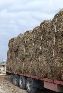 Рулон с доставкой