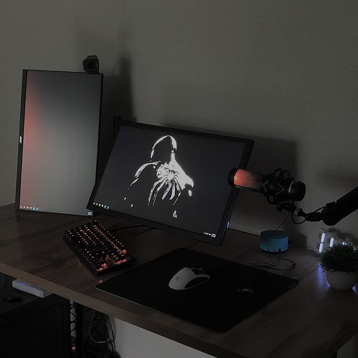 Benq Zowie XL2411K монитор